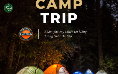 Khám Phá Rừng Nguyên Sinh & Nghiên Cứu Cây Thuốc tại Nông Trang Suối Đá Bàn