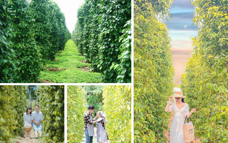 TOUR PHÚ QUỐC 4 NGÀY 3 ĐÊM – HÀNH TRÌNH KHÁM PHÁ ĐẢO NGỌC TUYỆT ĐẸP