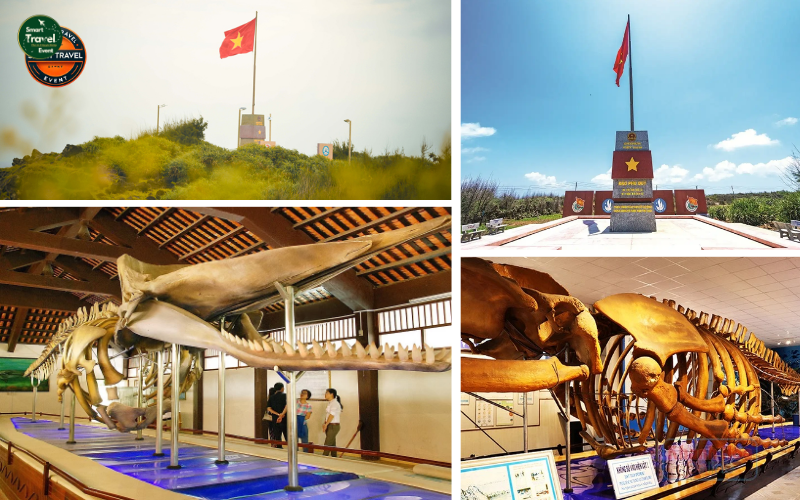 Tour Khám Phá Đảo Phú Quý 2 Ngày 2 Đêm