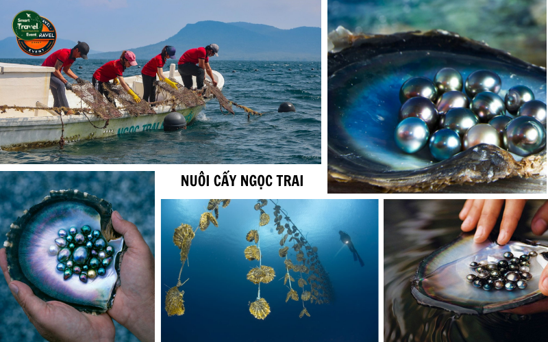 TOUR PHÚ QUỐC - 3N3Đ | TOUR TẾT NGUYÊN ĐÁN 2025