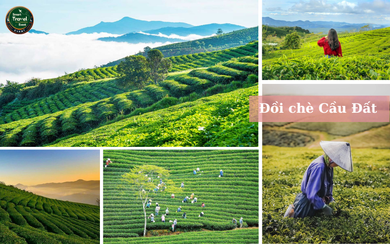 TOUR PHAN THIẾT - ĐÀ LẠT -TẾT 2025 (3N3Đ)