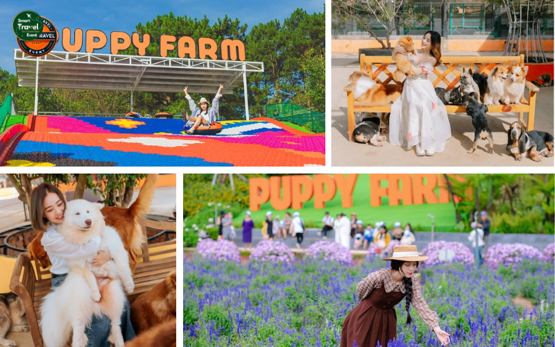 TOUR ĐÀ LẠT TẾT 2025: KHÁM PHÁ PUPPY FARM - DONKI LAND - TIỆC BBQ - 3N3Đ