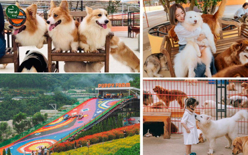 TOUR ĐÀ LẠT 4 NGÀY 3 ĐÊM – DONKI LAND – THE BALI HILL