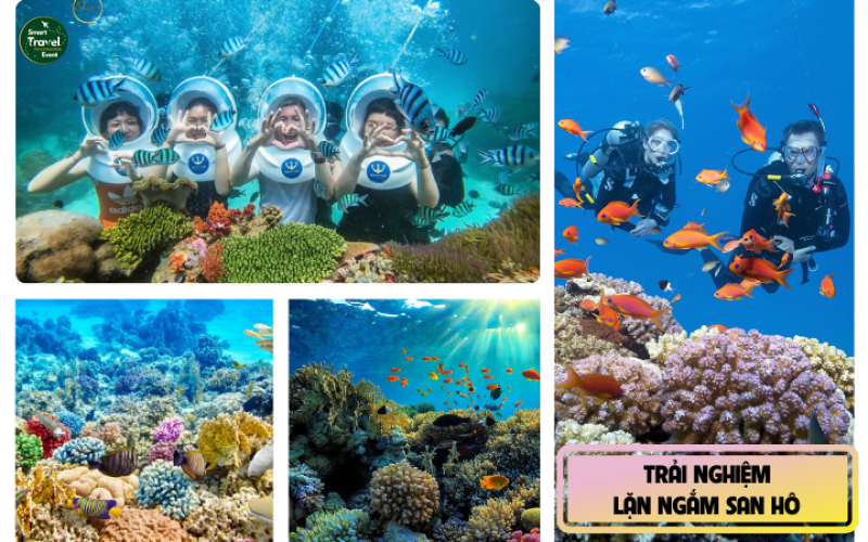 TOUR PHÚ QUỐC - KISS BRIDGE - 3N3Đ TOUR TẾT 2025