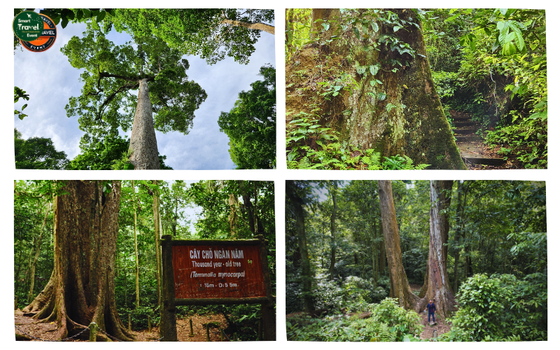 TOUR NINH BÌNH 2 NGÀY 1 ĐÊM