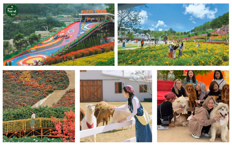 TOUR NHA TRANG - ĐÀ LẠT - 4N4Đ | TOUR TẾT 2025
